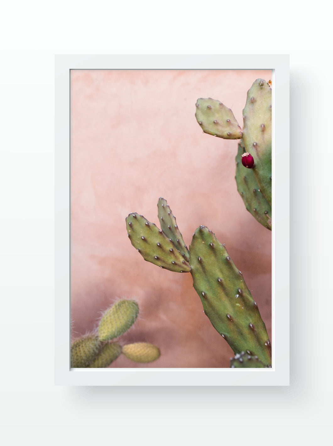 Cactus Dream - Art Print