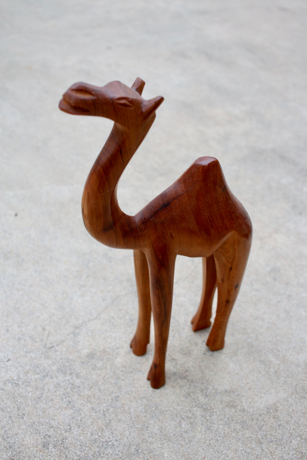 Wood Camel #1
