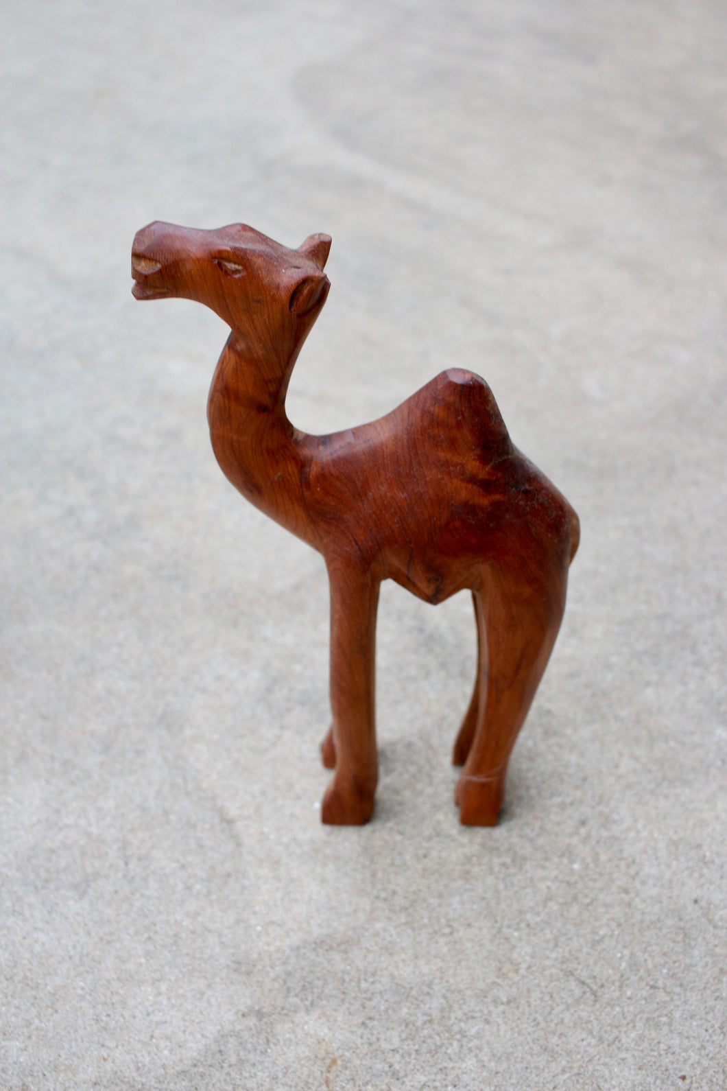 Wood Camel #4